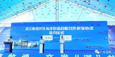 已編輯圖片